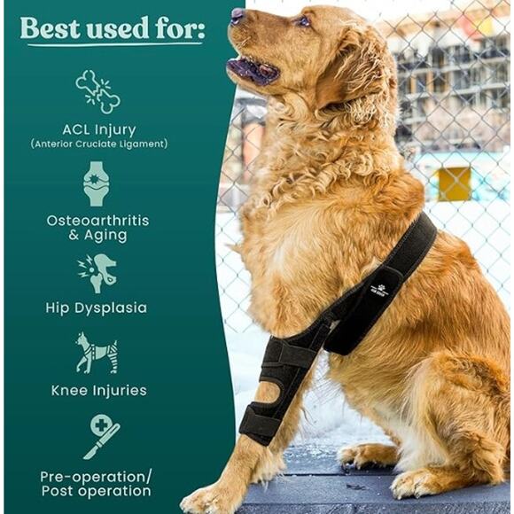NEW Adjustable Dog Knee Brace - Picture 1 of 4